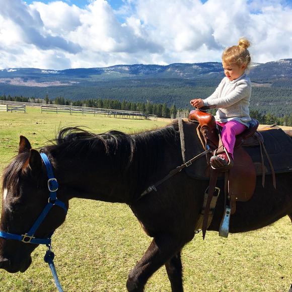 Meet your Posher, Shan - Picture 1 of 1